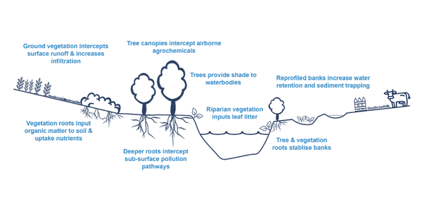 Diagram showing the structure of a SMART Buffer Strip