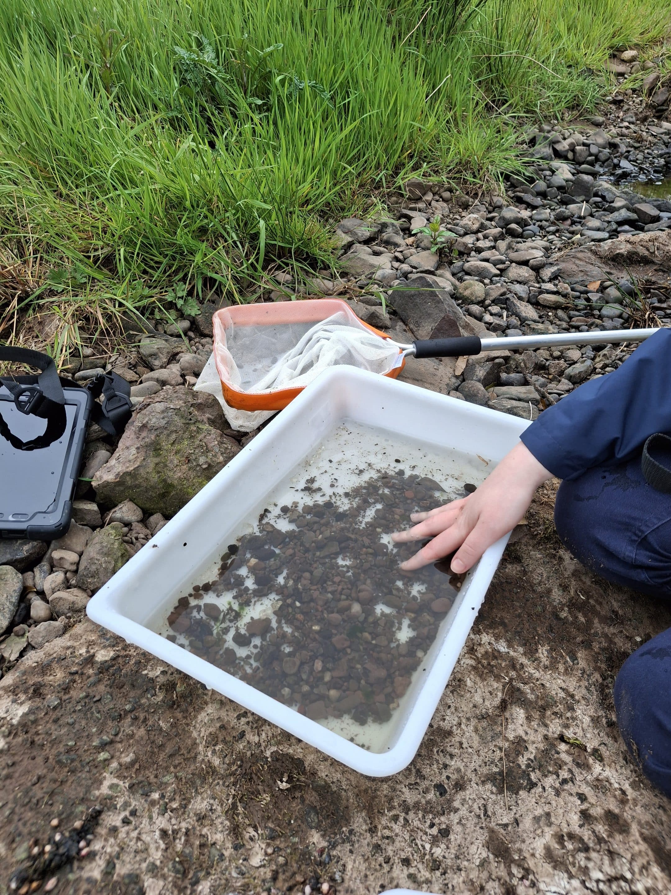 Macroinvertebrate monitoring as part of Nature Based Solutions data collection